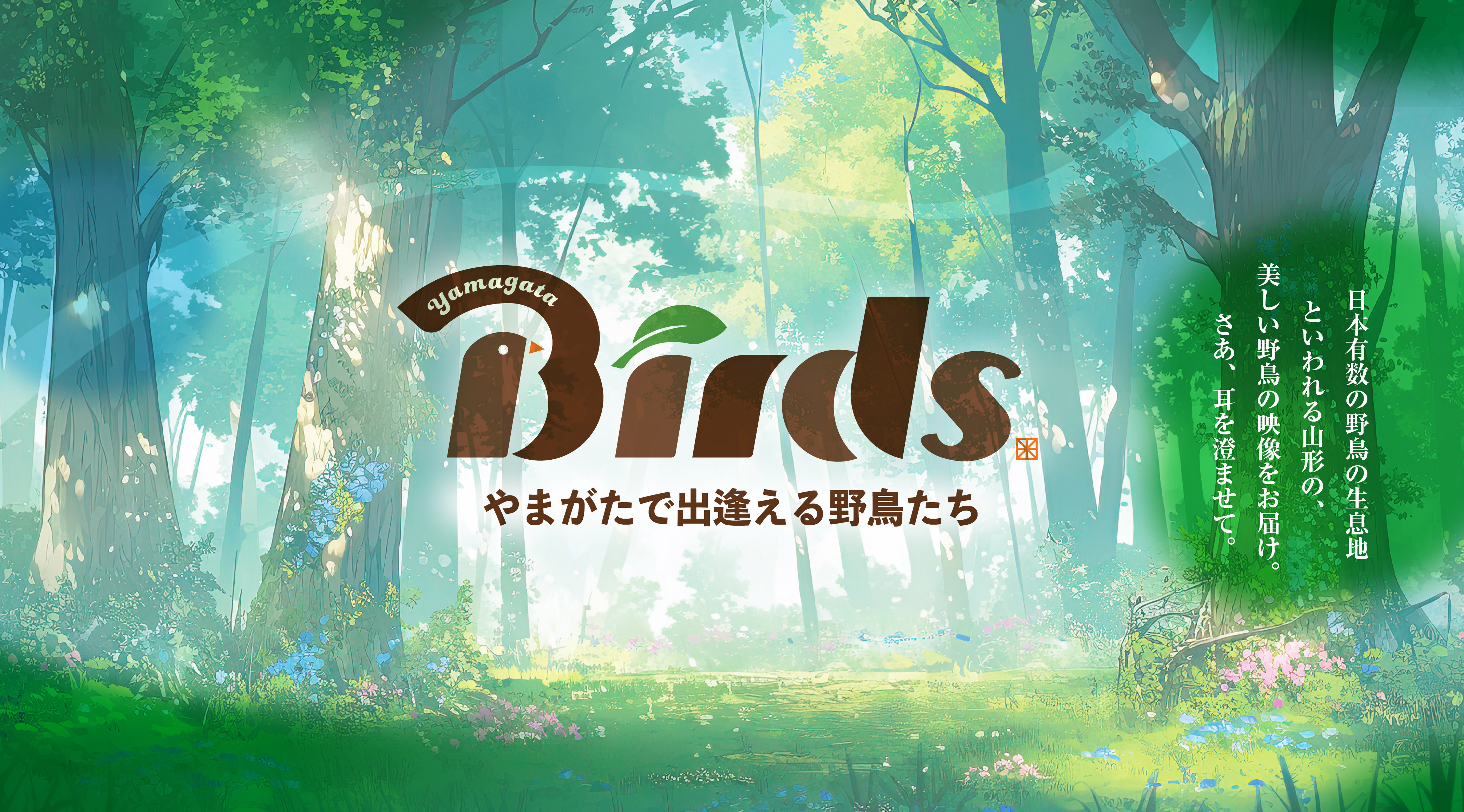 webメディア山形会議の新コンテンツ「yamagata birds」公開